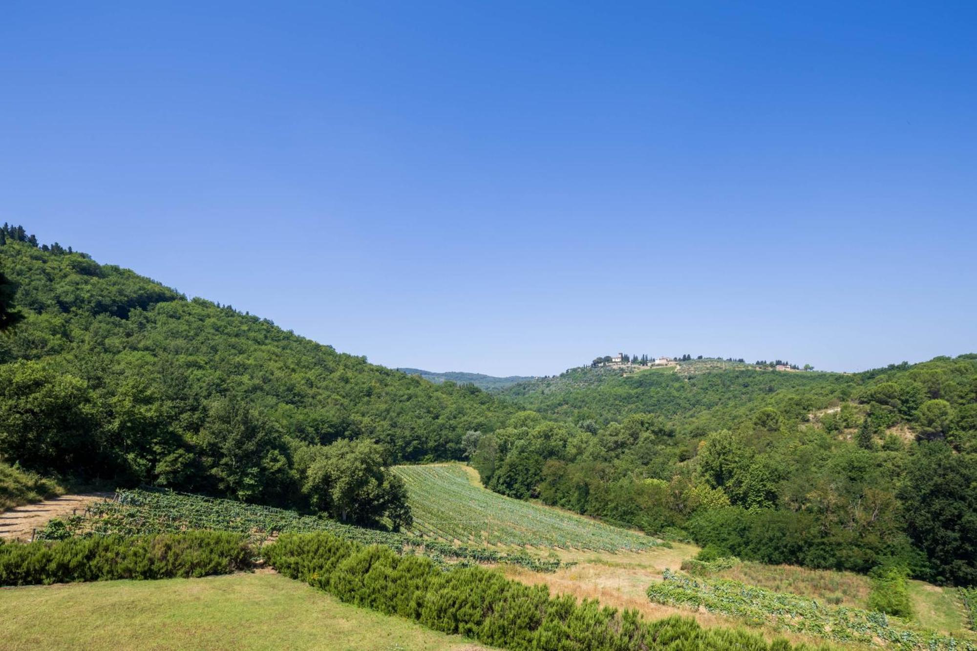 Foresteria Castello Di Verrazzano Greve in Chianti Eksteriør billede